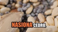 Uwielbiam tę przekąskę! | Michał Toczyłowski | Narum | Narine