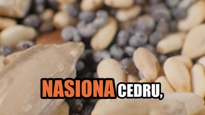 Uwielbiam tę przekąskę! | Michał Toczyłowski | Narum | Narine