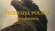 Znak. Orla. E11