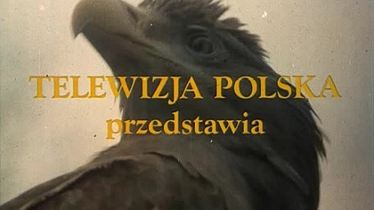 Znak. Orla. E11