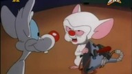Pinky i M&oacute;zg S03E07 - Ta stara mysz