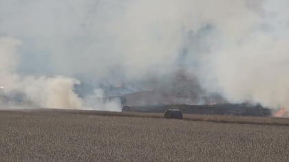 Gaszenie pól uprawnych - pożar w Jaworznie