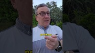 Claude Code vs Codex vs Gemini  Który najlepszy?