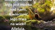 Audycja Wyzwolony - Harold