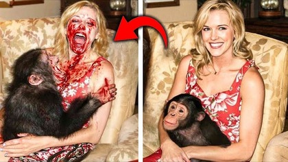 Zwierzęta Które Zjadły Swoich Właścicieli Na Oczach Wszystkich