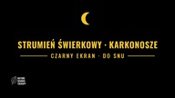 Szum Strumienia w Lesie Świerkowym · Do Snu
