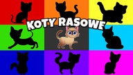 Koty rasowe dla dzieci - Bajka edukacyjna - Film edukacyjny o kotach