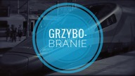 Grzybobranie