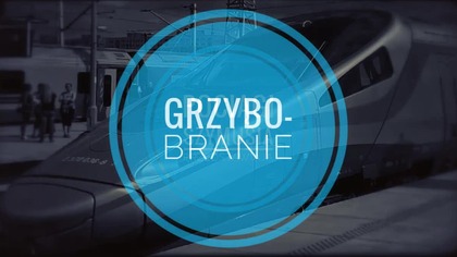 Grzybobranie