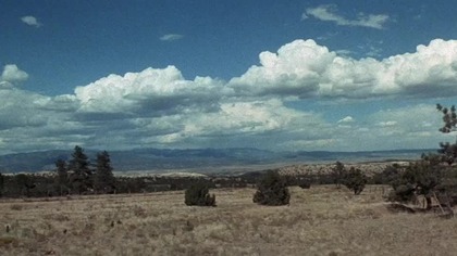 Księżna i błotny lis 1976 lektor pl