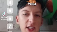 Ranking Piesków #shorts #youtubeshorts #short #viralvideo #tiktok