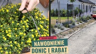 Bezobsługowe podlewanie donic na tarasie.  Nowa linia kroplująca na rabatach.