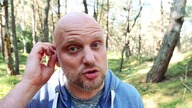 Wstawaki 45 Gabkowe bakterie