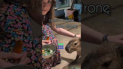 Kapibara Kambodżara