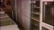 Hurtownia Zielpol - reklama z lat 90.