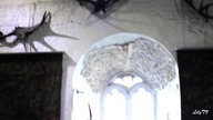 Bunratty Castle - Ireland