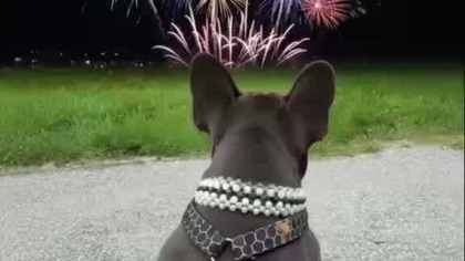 Ile kasy idzie, na te fajerwerki.