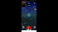 SHINY HUNT POKEMON GO