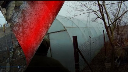 Odc-533-Odwiedziliśmy Michała który też uprawa rośliny egzotyczne.  Lekki szok 
