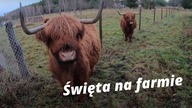 Vlog z farmy #26 Życzenia świąteczne i noworoczne - Grudzień 2020