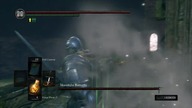 Moonlight Butterfly NG+7 (Ultra Greatsword / No Damage) Dark Souls Remastered