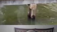 Niewiarygodne przykłady cudownych zbawienia i darów od Boga #shorts #jesus #fyp