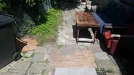 Ptaki