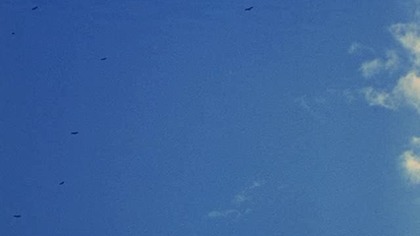 Całun.  mumii.  (1967)