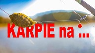 Karpie na ...  SPRĘŻYNE a nie METHOD
