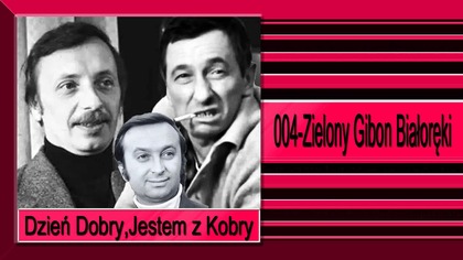 26. Dzień Dobry,Jestem z Kobry-004-Zielony Gibon Białoręki