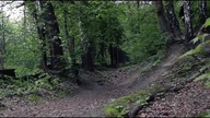 Freeride Session w Krakowie