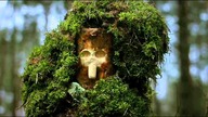 Jakub Nox Ambroziak - Treebeard in the Dead Wood (Prod. B Remix)