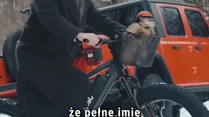 Dzień Świstaka - jak nazywa się świstak? #dzienswistaka #groundhogday #billmurray