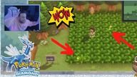 Reakcja na Shiny Starly! Pokémon Brilliant Diamond
