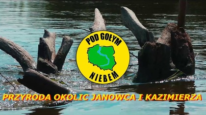 Przyroda okolic Janowca i Kazimierza - Kajak Spływ Wisła Rzeka 2019 (Pod Gołym Niebem)