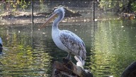 ZOO Lipsk (Leipzig)