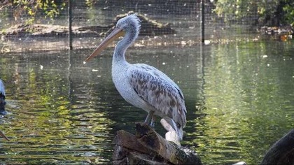 ZOO Lipsk (Leipzig)