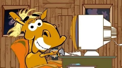 KOŃ RAFAŁ (HD) - Dowód, Internet, Siłownia