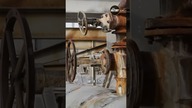 Goose Island Contamination: What You Need to Know Right Now! Swipe left for the free truth