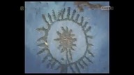 biblia jest apoteozą astronomii