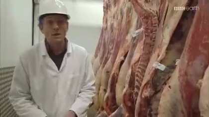 Mięso.  Jeść czy nie jeść