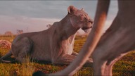 Mufasa: Król Lew (2024) 4K - Eshe szkoli Mufase