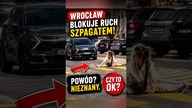 Szpagat na pasach i korek gotowy.  Co sądzicie o takim zachowaniu? #shorts #polscykierowcy #wrocław