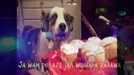 ZNOWU TO ZROBIŁEM XD