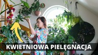 Jak dbać o rośliny domowe w KWIETNIU? Roślinne aktualizacje Plant Tour