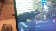 Gdy grasz w Symulator Kozy z Polskim tłumaczeniem  #goatsimulator #symulatorkozy #game #gra