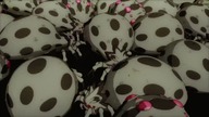 Kumo Desu ga, Nani ka?_015