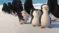 DreamWorks: PINGWINY Z MADAGASKARU - film dokumentalny: "Pingwiny z Antarktydy" - POLSKA