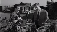 Zab&oacute;jstwo. 1956. Lektor.pl