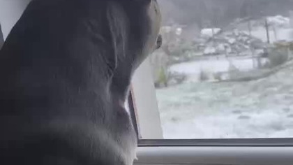 Secik i pierwszy śnieg .